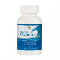 Forever Artic sea